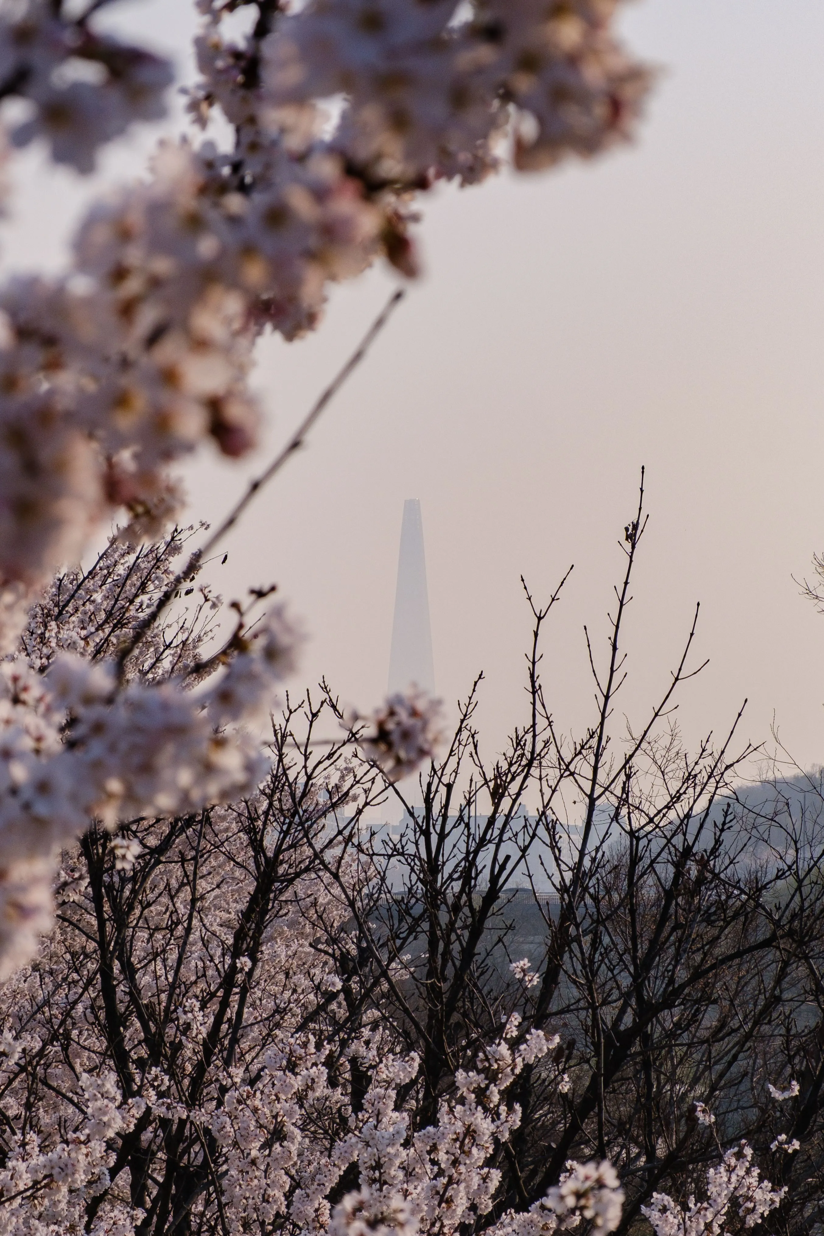 블로그 발행용 컨텐츠 타입 테스트
